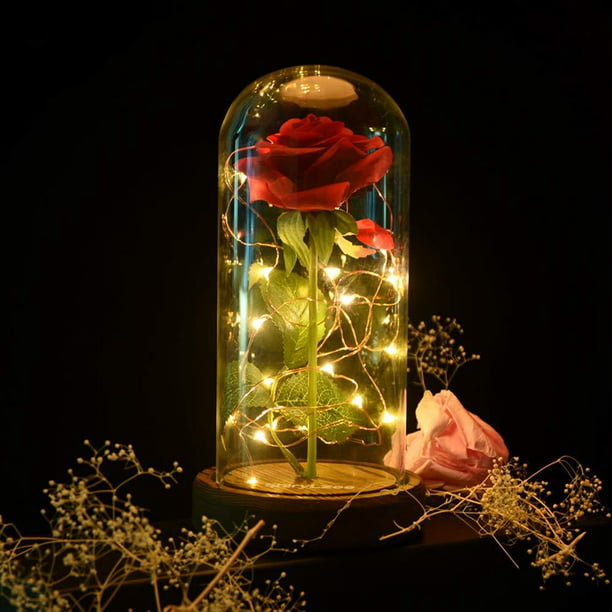 Beauty And The Beast Glass Dome LED Enchanted Red Rose Anniversary Romantic Gift